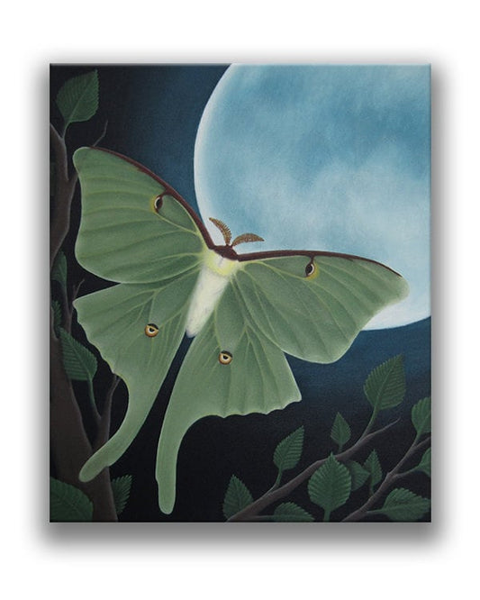 Luna Moth - Acrylic Paint Fine Art Original on Stretched Canvas