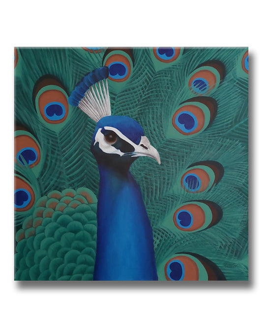 Peacock Original Acrylic Painting on Stretched Canvas